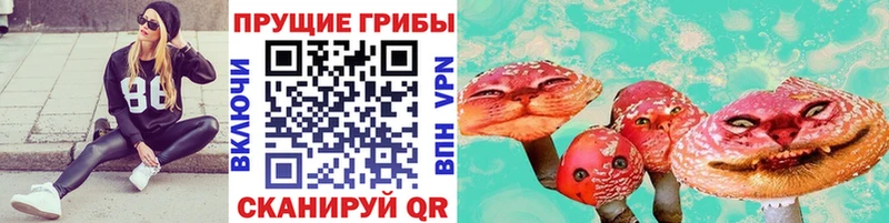 Галлюциногенные грибы Psilocybine cubensis  цена наркотик  Дятьково 
